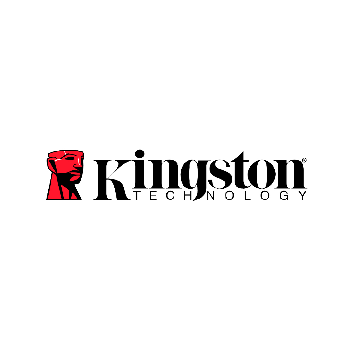 Principal proveedor mayorista de productos de Almacenamiento Kingston en Mexico 