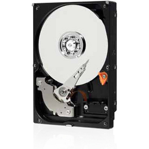 Disco Duro WD AV WD3200AVKX - 3.5" Interno - 320 GB - SATA (SATA/300)