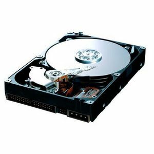 Samsung Spinpoint T133 HD300LJ 300 GB Hard Drive - Internal - SATA (SATA/300)